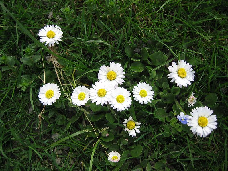 2010 04 23 A